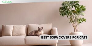 best sofa covers for cats