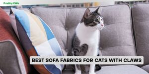 best sofa fabrics for cats with claws