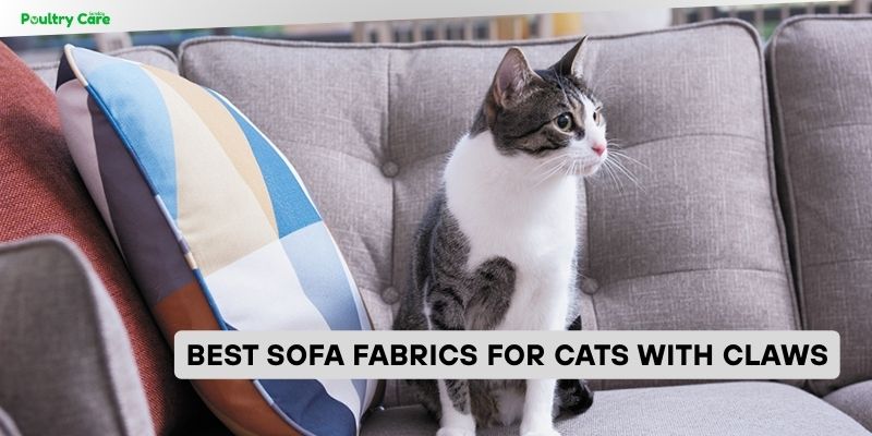 best sofa fabrics for cats with claws