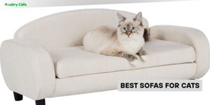 best sofas for cats