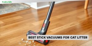 best stick vacuums for cat litter