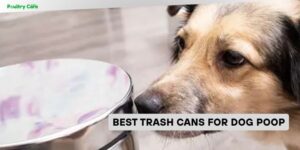 best trash cans for dog poop