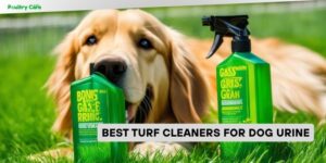 best turf cleaners for dog urine