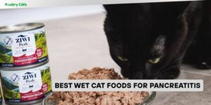 best wet cat foods for pancreatitis
