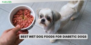 best wet dog foods for diabetic dogs