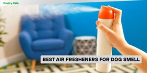 best air fresheners for dog smell