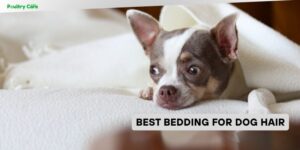 best bedding for dog hair