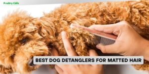 best dog detanglers for matted hair