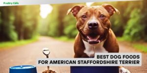 best dog foods for american staffordshire terrier