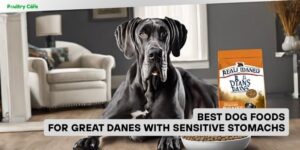 best dog foods for great danes with sensitive stomachs