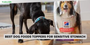best dog foods toppers for sensitive stomach