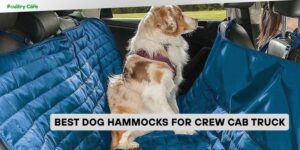 best dog hammocks for crew cab truck