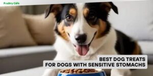 best dog treats for dogs with sensitive stomachs
