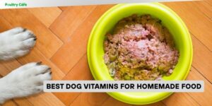 best dog vitamins for homemade food