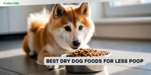 best dry dog foods for less poop