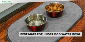 best mats for under dog water bowl