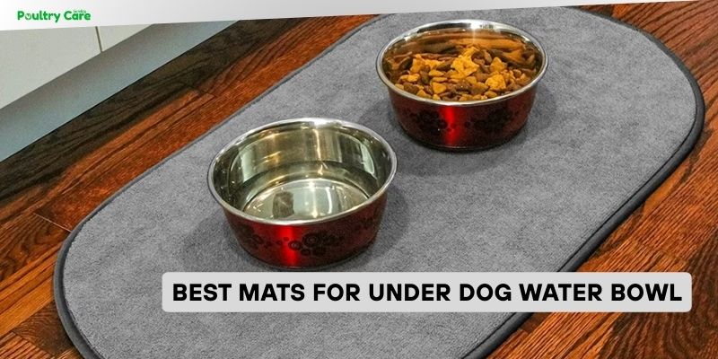best mats for under dog water bowl