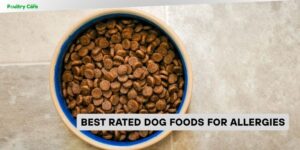 best rated dog foods for allergies