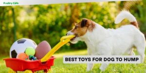 best toys for dog to hump