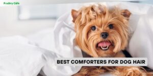 best comforters for dog hair