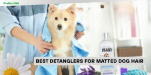 best detanglers for matted dog hair