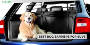 best dog barriers for suvs