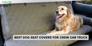 best dog seat covers for crew cab truck