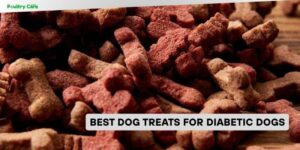 best dog treats for diabetic dogs