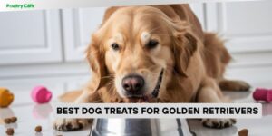 best dog treats for golden retrievers