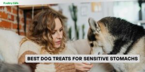 best dog treats for sensitive stomachs
