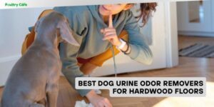 best dog urine odor removers for hardwood floors