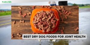 best dry dog foods for joint health