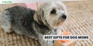 best gifts for dog moms