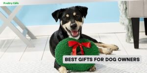 best gifts for dog owners