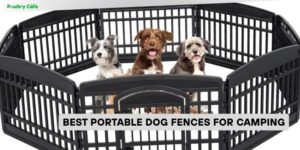 best portable dog fences for camping