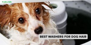 best washers for dog hair