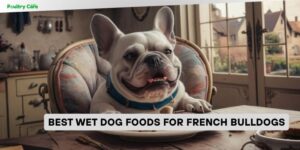 best wet dog foods for french bulldogs