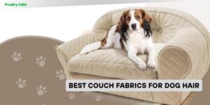best couch fabrics for dog hair