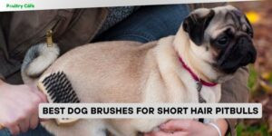 best dog brushes for short hair pitbulls