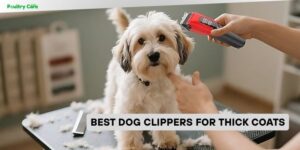 best dog clippers for thick coats