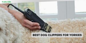 best dog clippers for yorkies