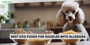 best dog foods for doodles with allergies