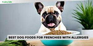 best dog foods for frenchies with allergies