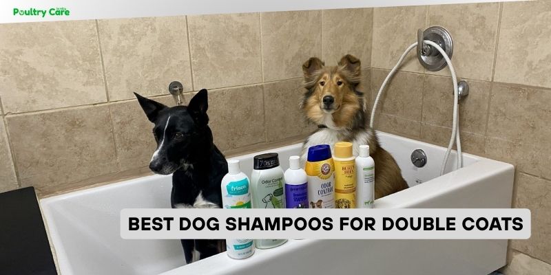 best dog shampoos for double coats
