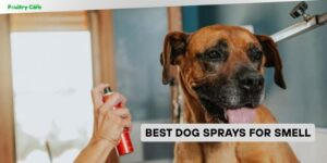 best dog sprays for smell
