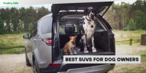 best suvs for dog owners