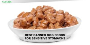 best canned dog foods for sensitive stomachs