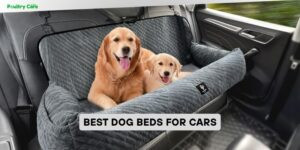 best dog beds for cars