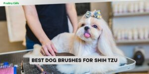 best dog brushes for shih tzu