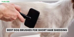 best dog brushes for short hair shedding